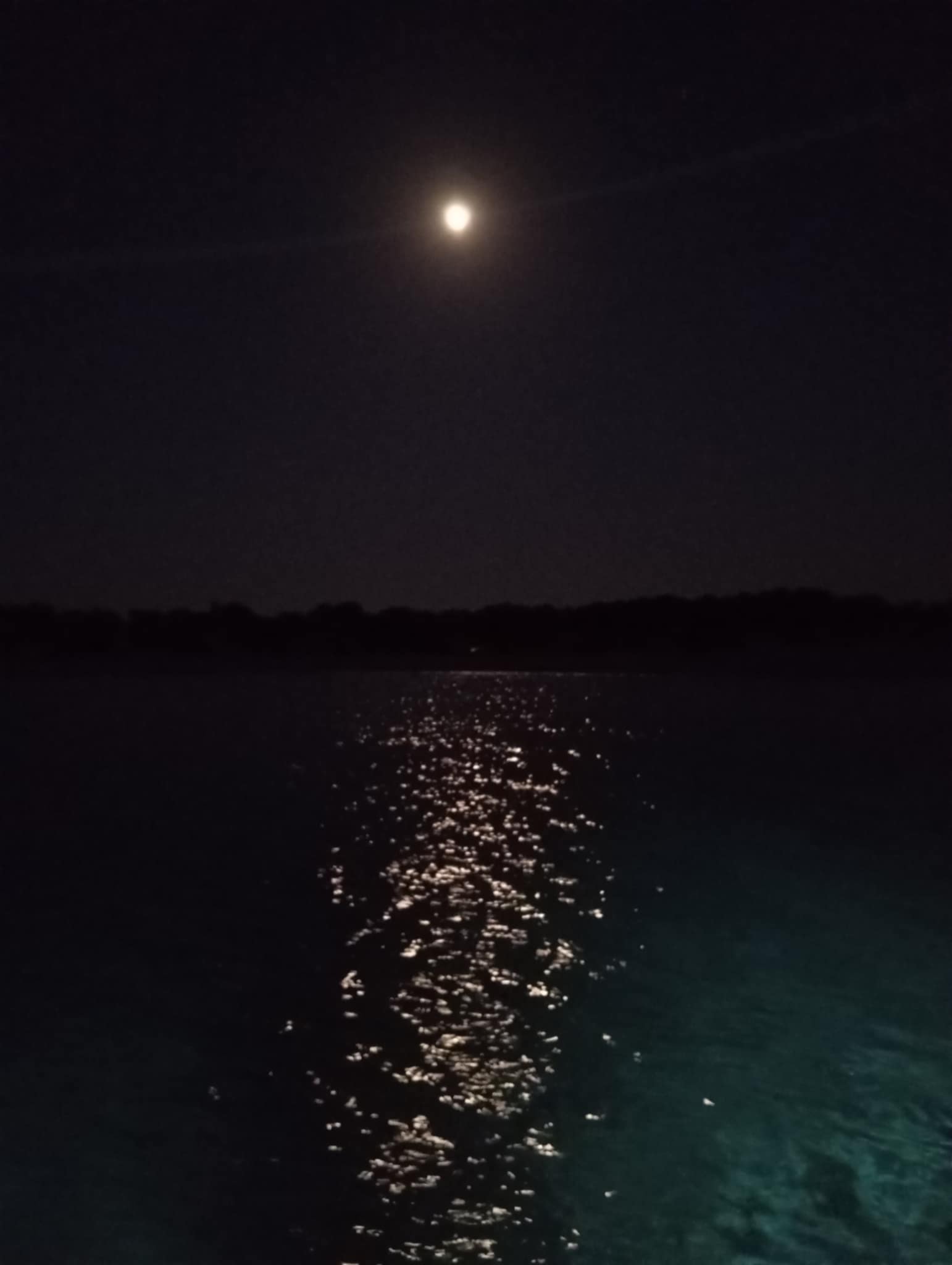Moonlit sea viewed from the yacht deck